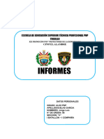 Viñetas Informe