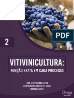 Viti Vin I Cultura