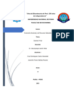 ES-Examen Final - Cruz&Jaramillo