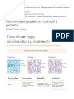Tipos de Cartílago - Características, Localización y Pericondrio