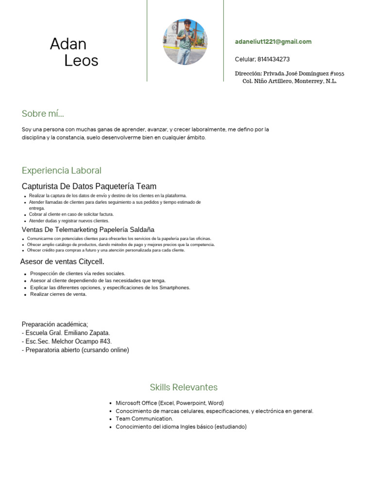 Green Black Simple Software Engineer CV | PDF