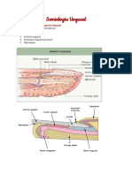 Semiologia Ungueal