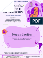 Eq. 3 Fecundación Nidación e Implantación.