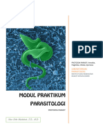 Parasit Protozoa