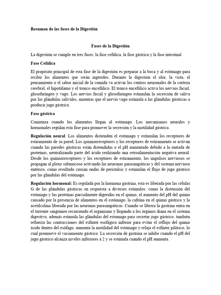 Fases De La Digestión Descargar Gratis Pdf Estómago Digestión