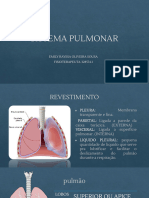 Sistema Pulmonar
