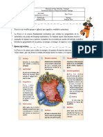 Actividad Grados 6to