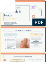 Cicatrización de Heridas