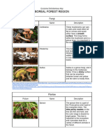 Ecozone Dichotomous Key 