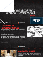 Clase 1 - Papiloscopia Forense