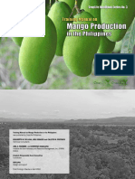Training Manual On Mango Production