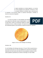 Singripal: Indicación y Composición | PDF | Medicamentos con receta ...