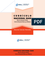 CNB Básico Por Madurez - C.naturales