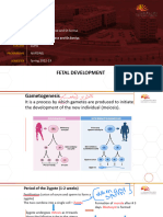 FETAL DEVELOPMENT - Copy