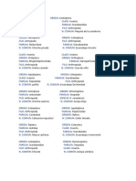 Clasificacion de Insectos