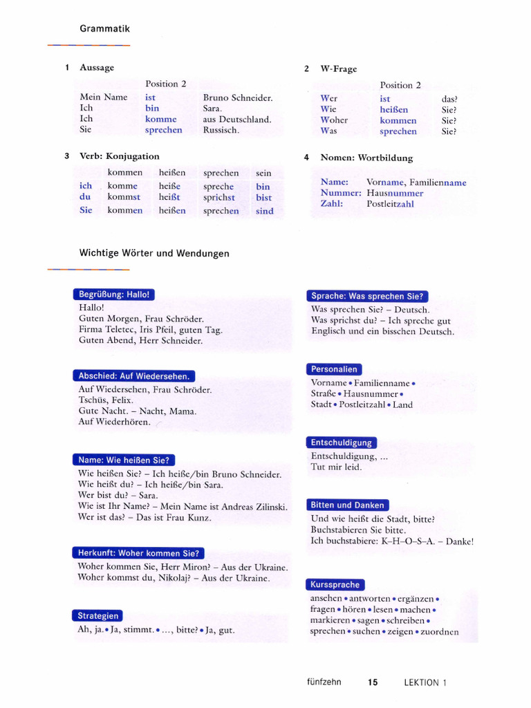 Schritte 1 Grammatik (Kursbuch, Per Lection) | PDF