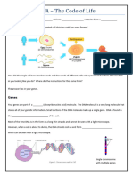 Genes and Chromsomes Worksheet-1