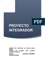 Proyecto Integrador 1.0