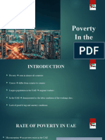 Poverty in UAE, 6 Slides
