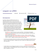 Fiche Elaguer Un Arbre