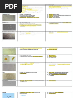 Urinary RBC Morphology Report | PDF