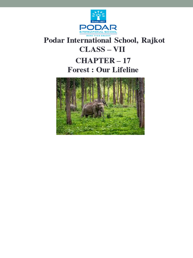 Forests: Our Lifeline for Class 7 | PDF | Forests | Trees