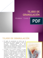 Tejido de Granulación