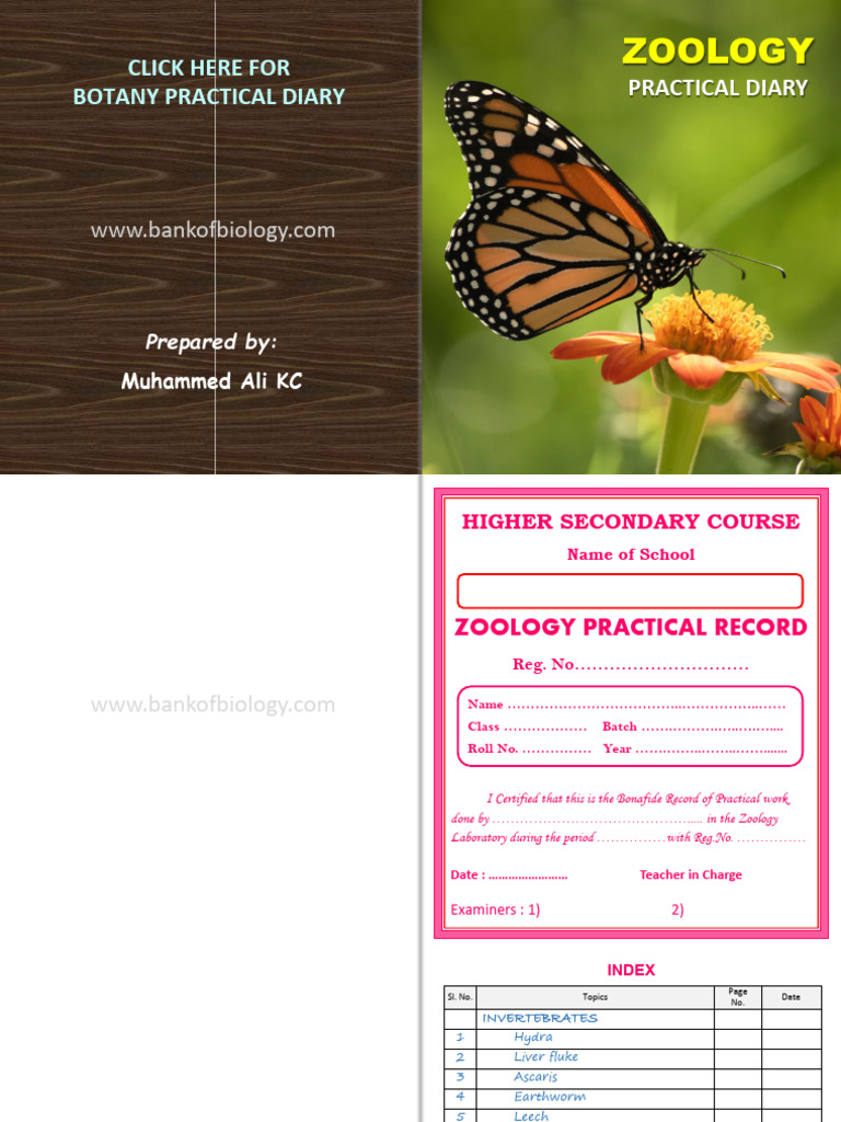 Zoology Practical Record Book PDF Lung Kidney