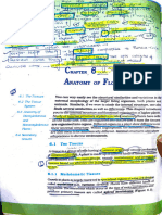 Anatomy of Flowering Plants