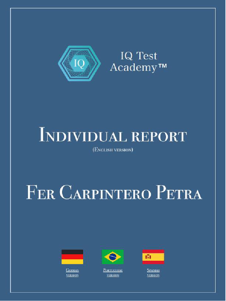 Iq Report Eng | PDF