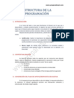 ESTRUCTURA DE LA PROGRAMACIÓN PT