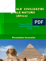 Minunialelumii Africa