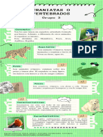 Infografía Sobre Los Vertebrados o Craniatas