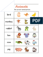 Colorful Illustrated Animal Identification Worksheet