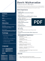 Davit Nizharadze - Resume PDF