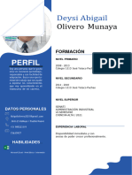 CV Personal Deysi Olivero