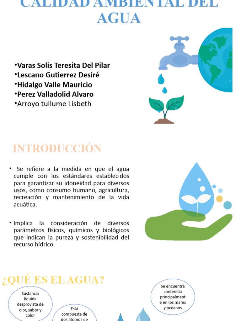 Importancia y Calidad del Agua | PDF | Agua | Calidad del agua