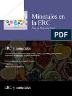 Minerales en La ERC
