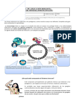 Guía Sistema Inmune