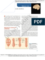 Desenvolvimento Do Cerebro - Psicologia Biologica, Kalat 2022 - Cap4.2