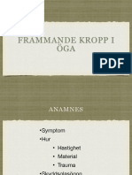 Främmande Kropp Öga