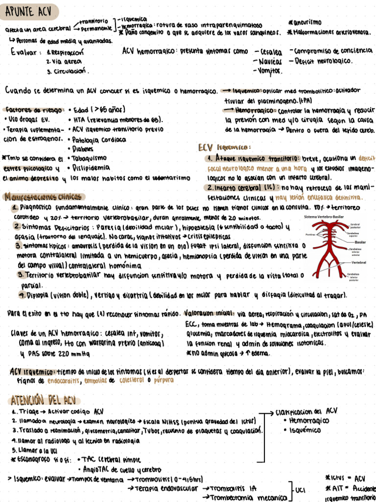 Guía de Manejo de ACV para Médicos | PDF | Carrera | Isquemia
