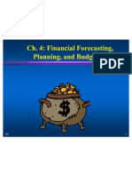 3 Financial Forecasting