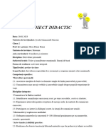 0 3 Proiect Didactic DP