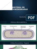 Sist - ENDOMEMBRANA 2023 - CBiomed