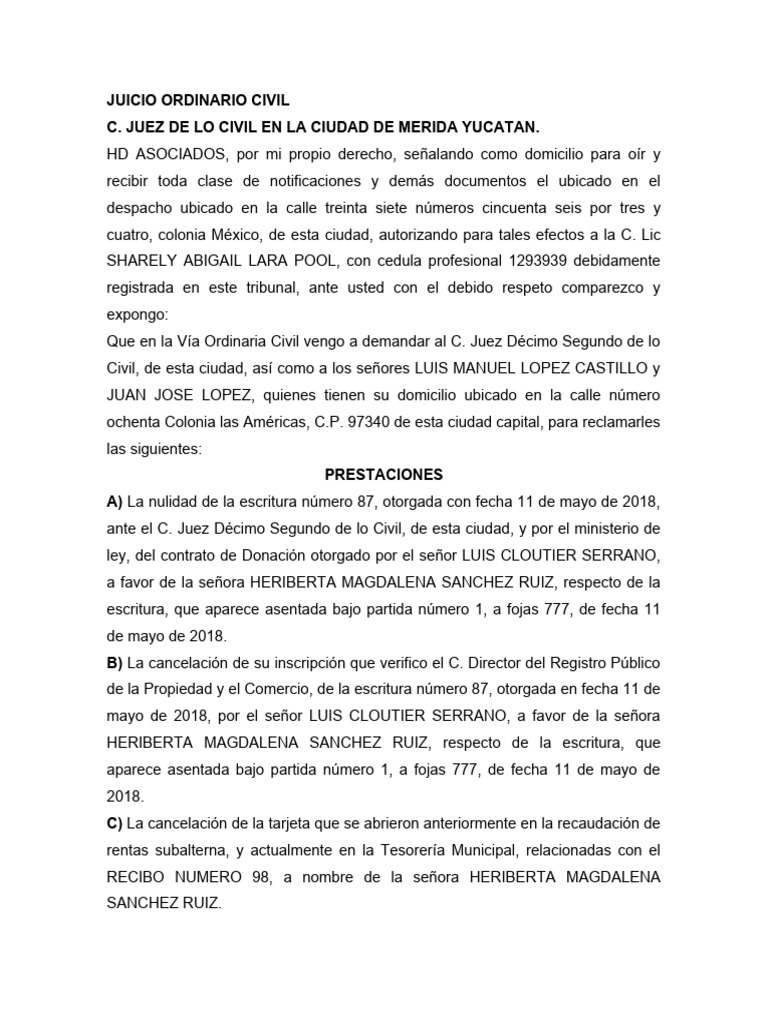 Nulidad de Escritura en Juicio Civil | PDF | Propiedad | Demanda judicial
