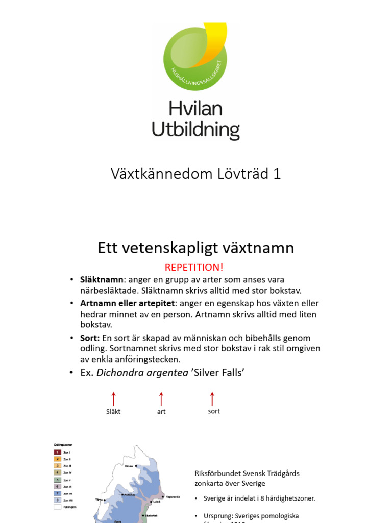 V. 6 - T1-Lövträd - Vår | PDF, image size:768x1024