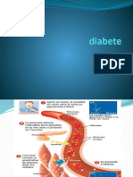 Diabete (1) (1) - 1