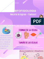 Morfofisiologia - Eue - Lic. en Enfermeria