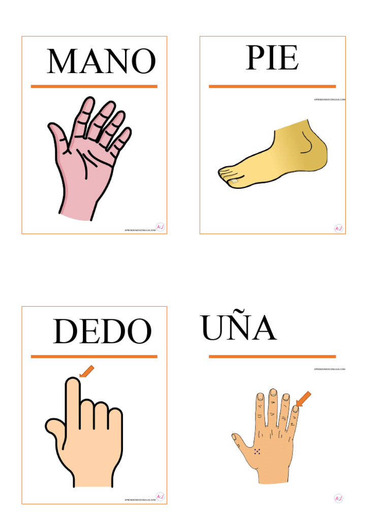 TARJETAS PARTES DEL CUERPO PARA IMPRIMIR | PDF